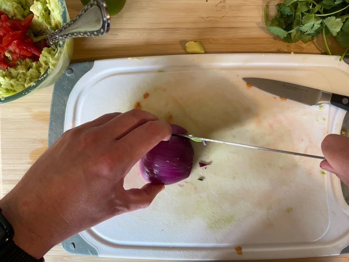 Cutting slices in an onion from root to stem